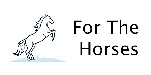 For The Horses – screenshot 1