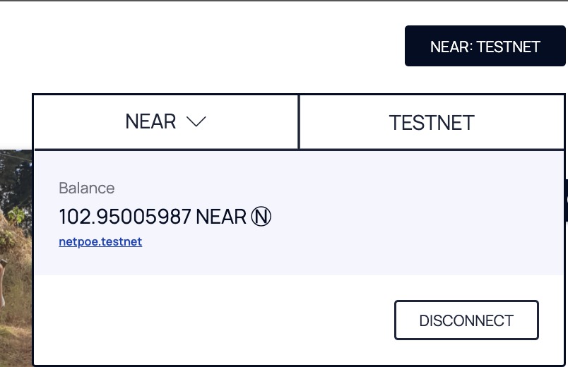 NEAR Holdings – screenshot 7