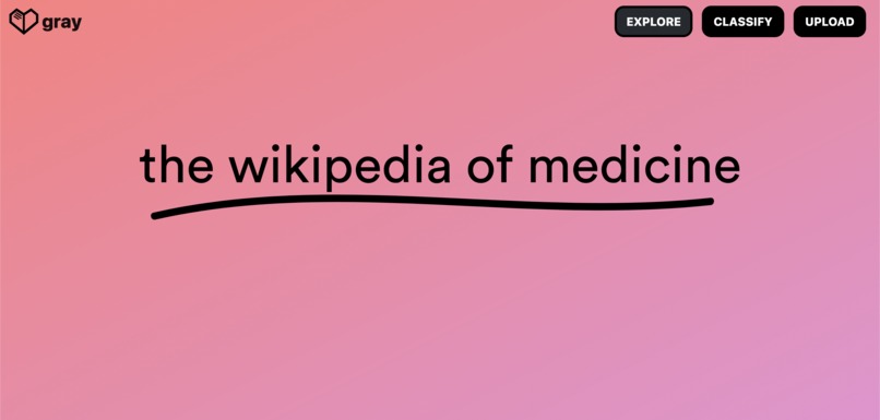 Gray – screenshot 5