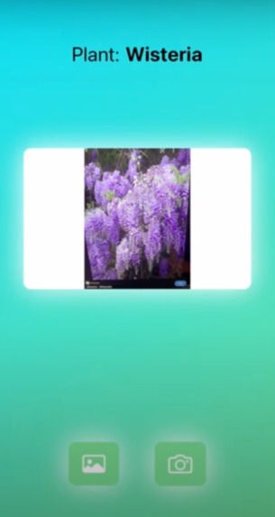 Plant Protect – screenshot 1