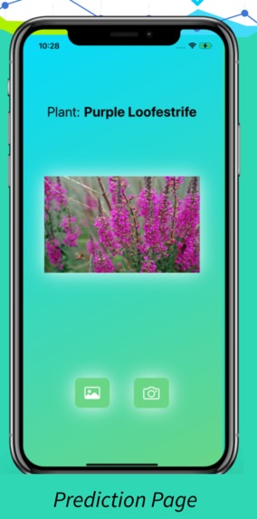 Plant Protect – screenshot 3