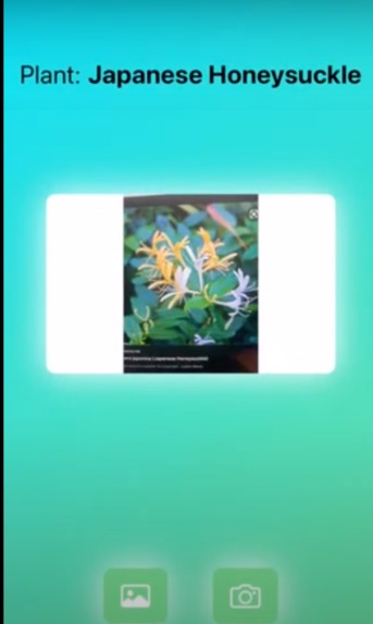 Plant Protect – screenshot 4