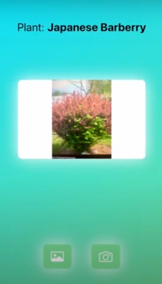 Plant Protect – screenshot 5