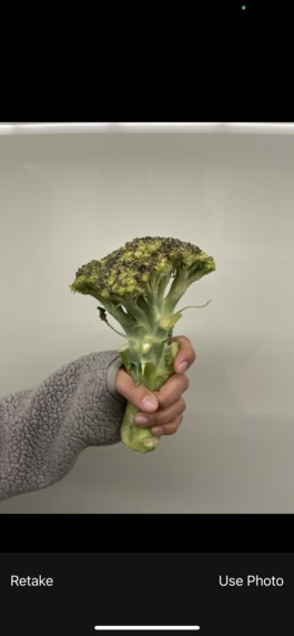 Footprint – screenshot 2