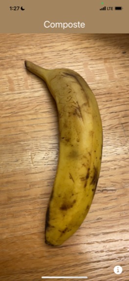 Squirrel – screenshot 2