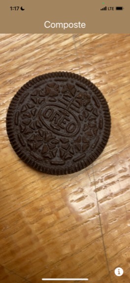 Squirrel – screenshot 5