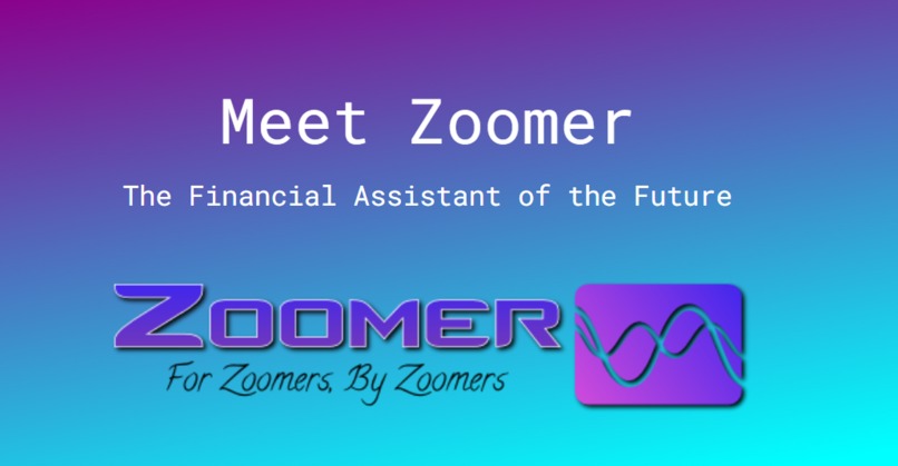 ZOOMER – screenshot 1