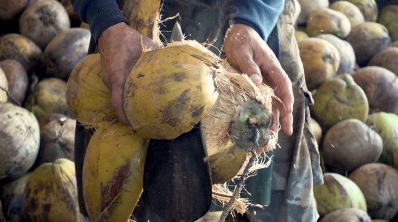 PeerLift – screenshot 2