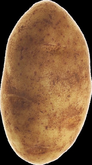 Potato.tech – screenshot 1