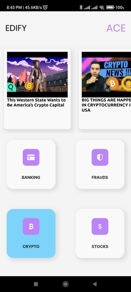 ACE – screenshot 5