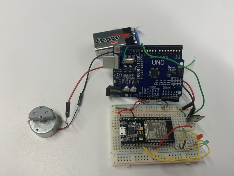 Peter Tingle – screenshot 1