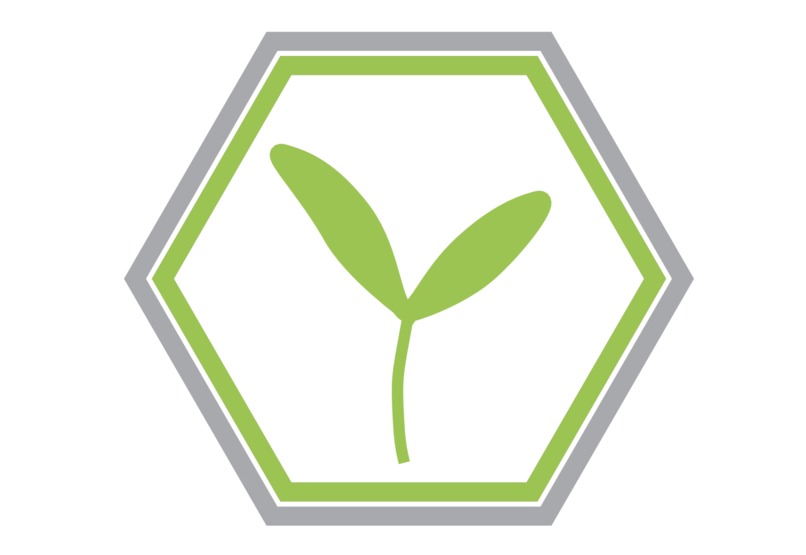 Sprout – screenshot 2