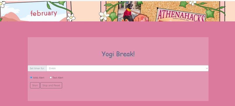 Yogi Break – screenshot 1
