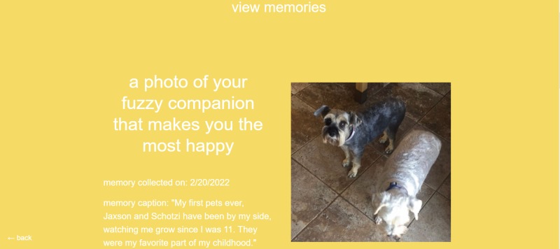 my happy place – screenshot 5