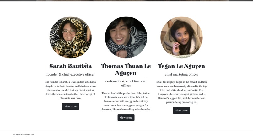 blaunkets – screenshot 4