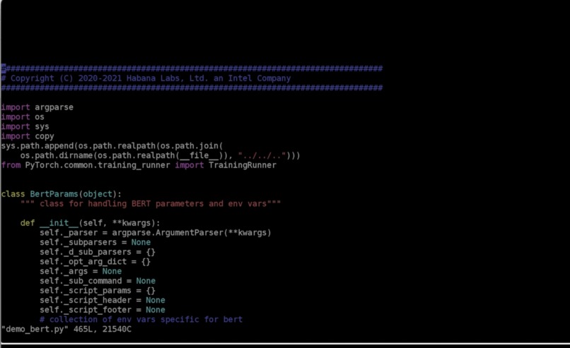 AWS Habana NLP and Image Classification Models Training – screenshot 1