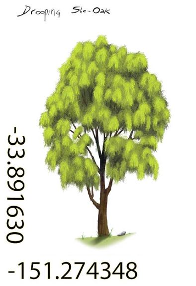 Cool Trees NFTs – screenshot 6