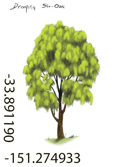 Cool Trees NFTs – screenshot 22