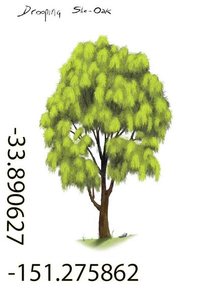 Cool Trees NFTs – screenshot 25