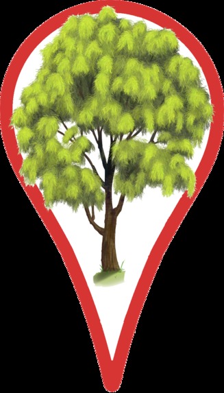 Cool Trees NFTs – screenshot 35