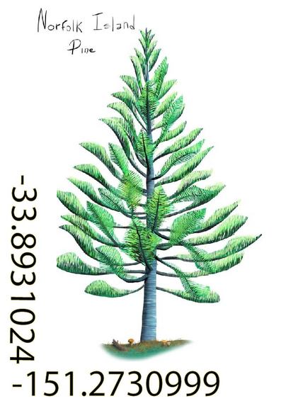 Cool Trees NFTs – screenshot 55