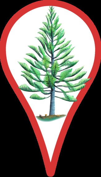 Cool Trees NFTs – screenshot 87