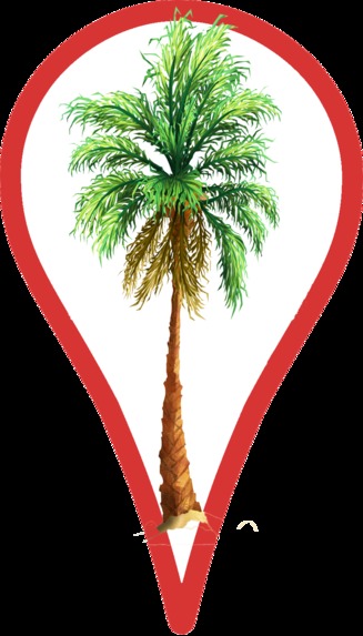 Cool Trees NFTs – screenshot 88