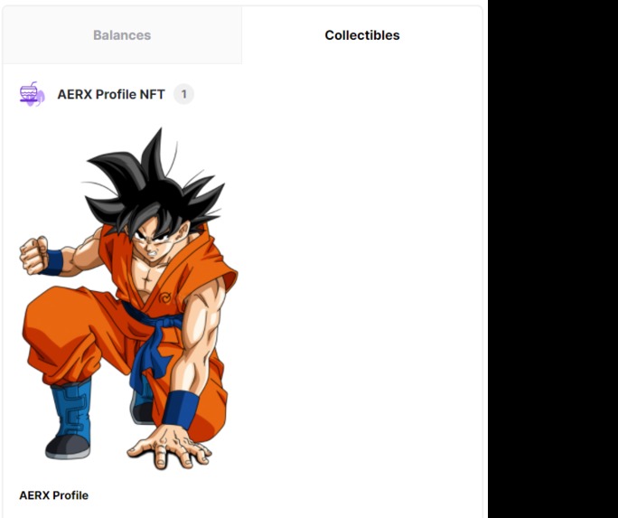 aerx – screenshot 2