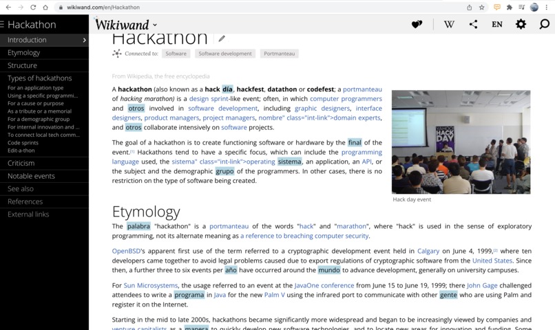 Language chrome extension – screenshot 3