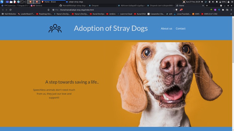 Adopt Stray Dogs – screenshot 1