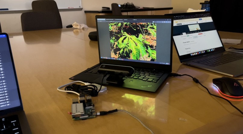 Infected & Detected – screenshot 1