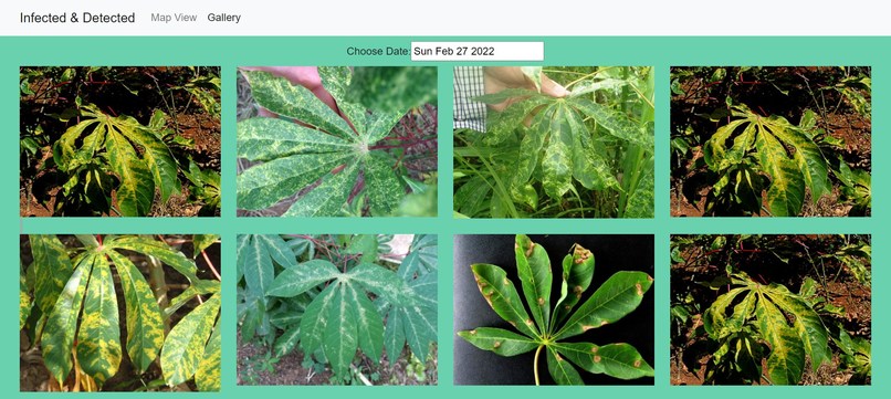 Infected & Detected – screenshot 6