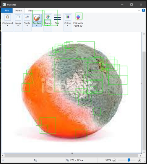 Orange Detection via Machine Learning – screenshot 1