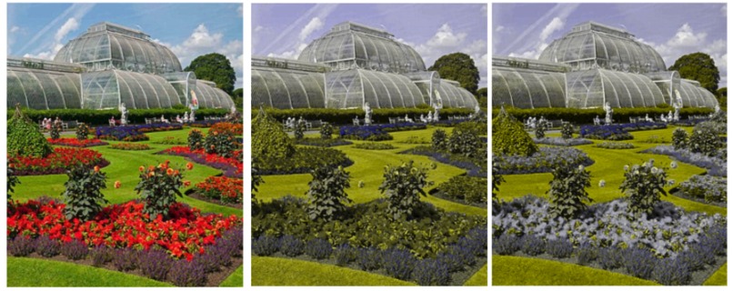 ChromaVision – screenshot 6