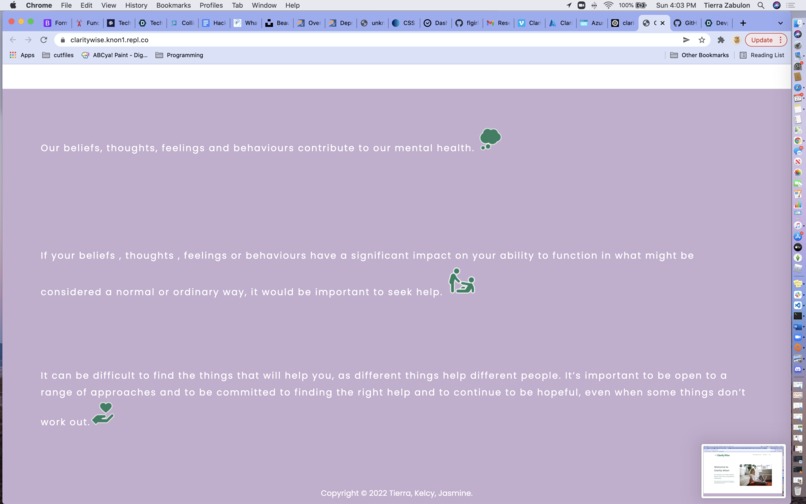Clarity Wise – screenshot 2