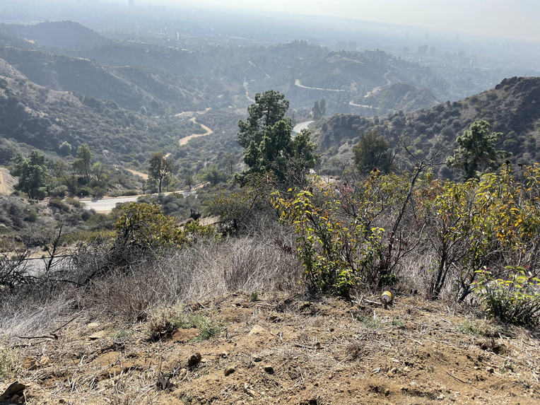 Trashy The Trashbot – screenshot 5