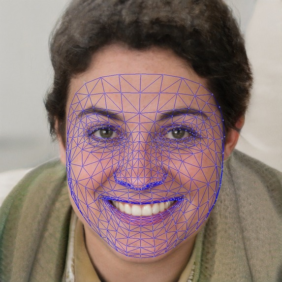 FakeWeb – screenshot 2