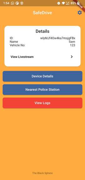 Safe Drive – screenshot 1