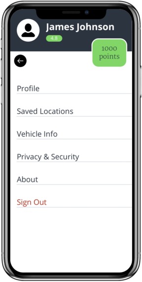 Park Out – screenshot 3