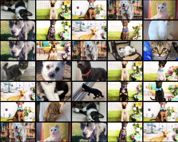 The Future of NFTs – screenshot 1