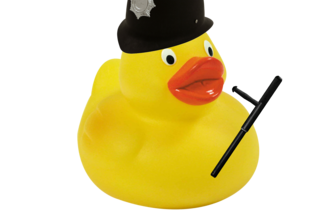 Duck of Fortune