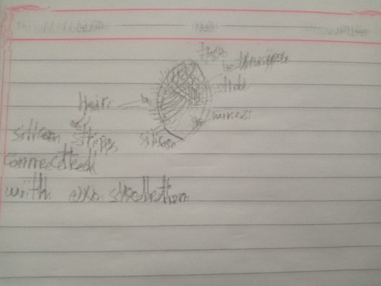 Tiny in size, Giant in use – screenshot 4