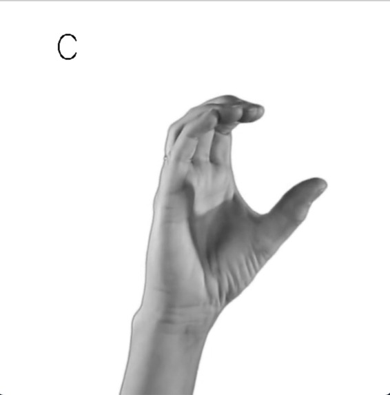Sign Language Recognizer – screenshot 1