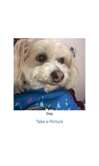 Shopi – screenshot 2