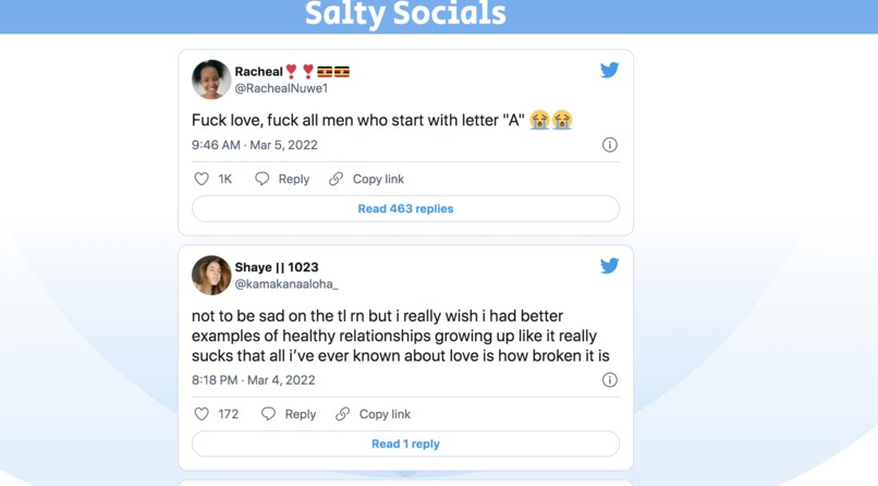 SaltySocials – screenshot 2