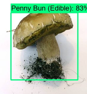 Shroomnify – screenshot 1