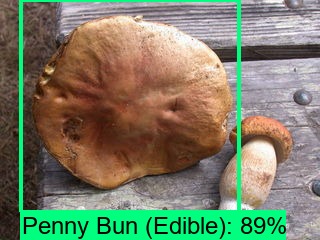 Shroomnify – screenshot 2