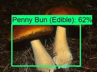 Shroomnify – screenshot 3