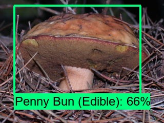 Shroomnify – screenshot 4