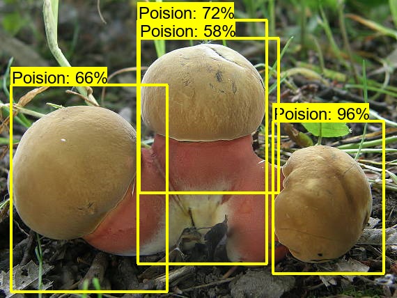 Shroomnify – screenshot 6